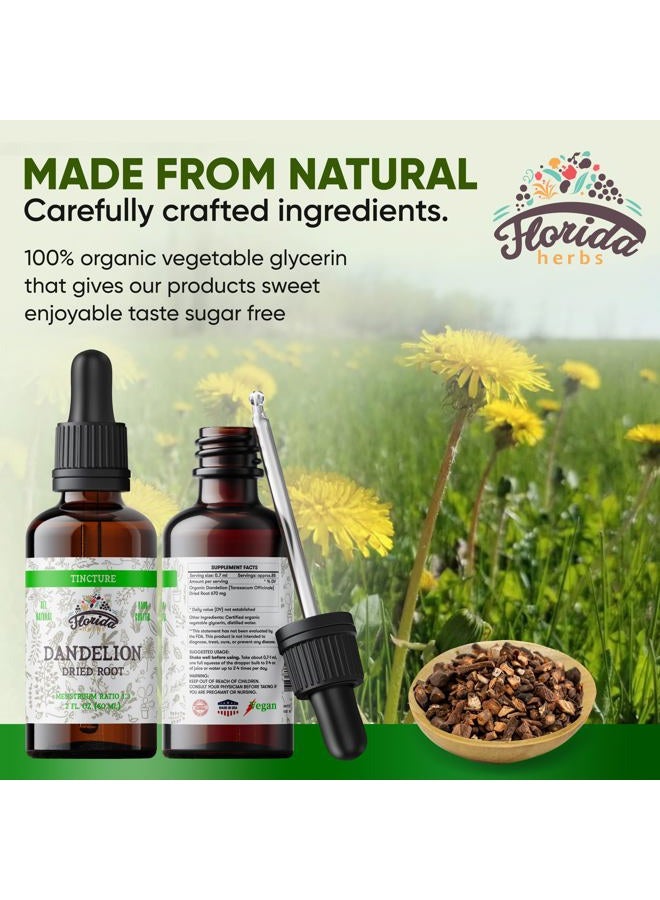 FLORIDA HERBS صبغة جذر الهندباء مستخلص الهندباء العضوي (Taraxacum Officinale) مكمل صحي، غير معدّل وراثيًا في جليسرين نباتي عضوي مضغوط على البارد 2 أونصة، 685 ملغ - Image 4